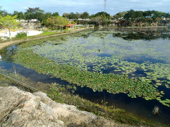 Sitio Arqueológico